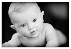 dgmphotography American Child Photographers Charity Guild Sesison Page Image 1